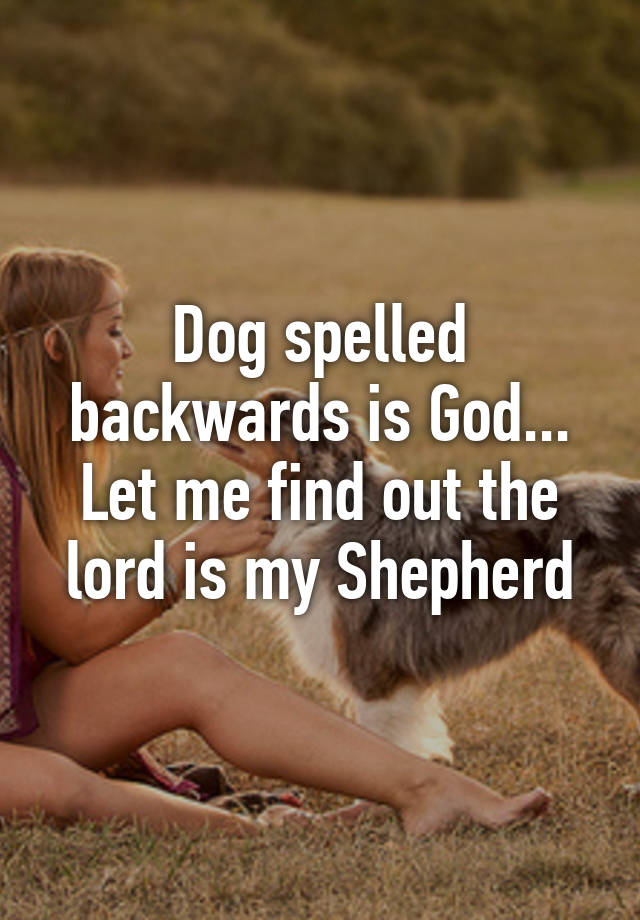 Dog Spelled Backwards Is God Let Me Find Out The Lord Is My Shepherd