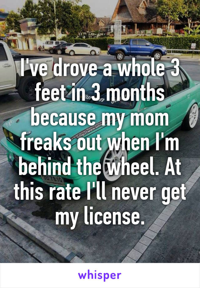 I've drove a whole 3 feet in 3 months because my mom freaks out when I'm behind the wheel. At this rate I'll never get my license.