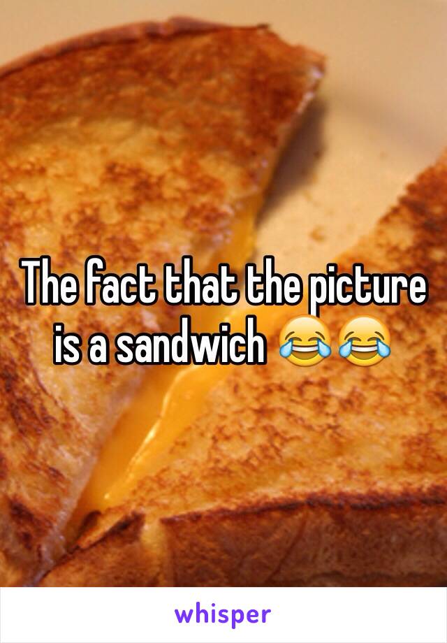 The fact that the picture is a sandwich 😂😂