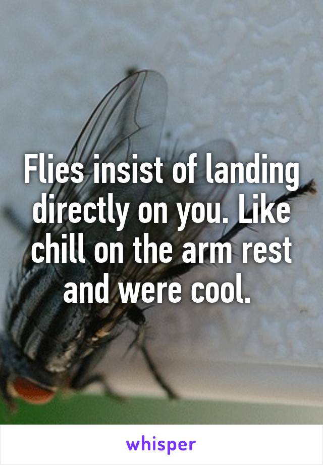 Flies insist of landing directly on you. Like chill on the arm rest and were cool. 
