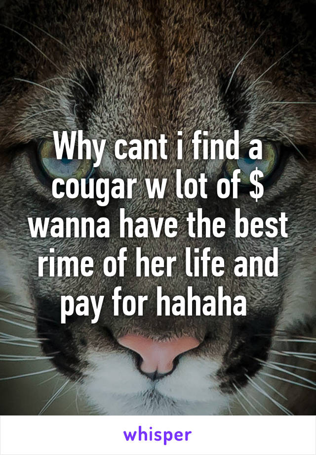 Why cant i find a cougar w lot of $ wanna have the best rime of her life and pay for hahaha 