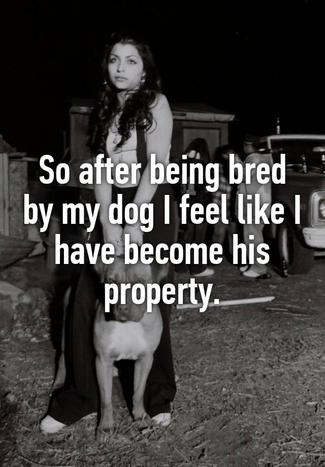 So after being bred by my dog I feel like I have become his property.