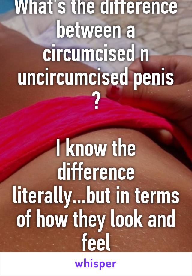 Difference Between A Circumcised And Uncircumcised Penis 109