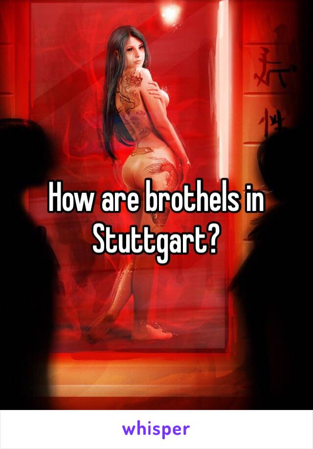 In stuttgart brothels Brothel Stuttgart. 