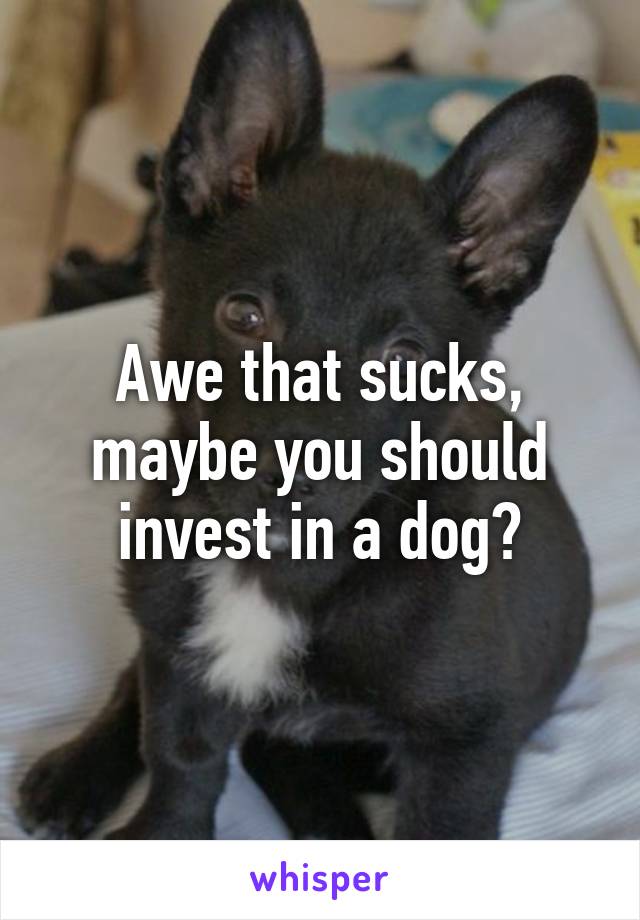 Awe that sucks, maybe you should invest in a dog?