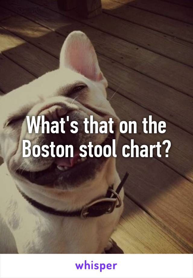 Boston Stool Chart