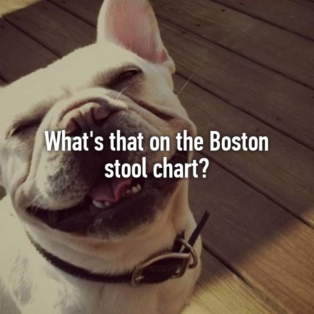 Boston Stool Chart
