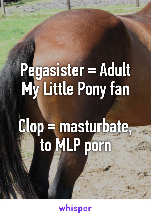 My Little Pony Masturbation Porn - Pegasister = Adult My Little Pony fan Clop = masturbate, to ...