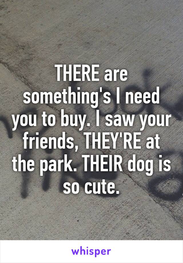 THERE are something's I need you to buy. I saw your friends, THEY'RE at the park. THEIR dog is so cute.