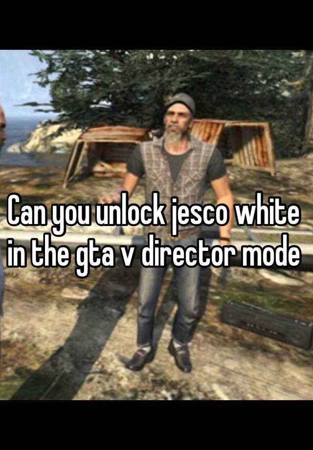 director mode gta 5