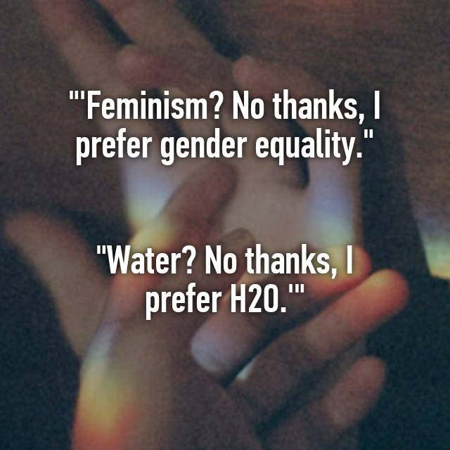 Bilderesultat for feminism no thanks i prefer equality