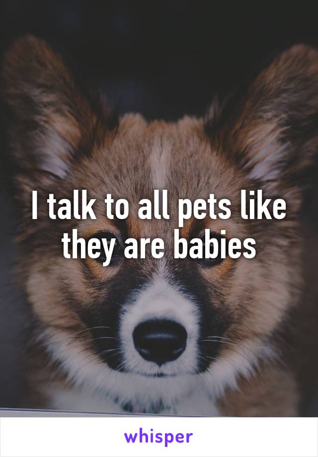 I talk to all pets like they are babies