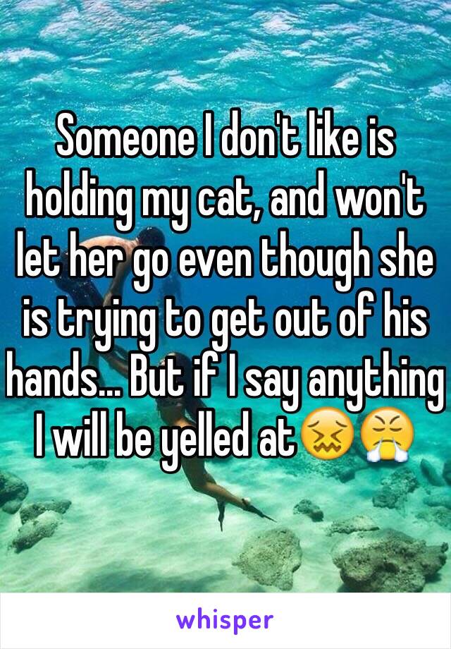 Someone I don't like is holding my cat, and won't let her go even though she is trying to get out of his hands... But if I say anything I will be yelled at😖😤