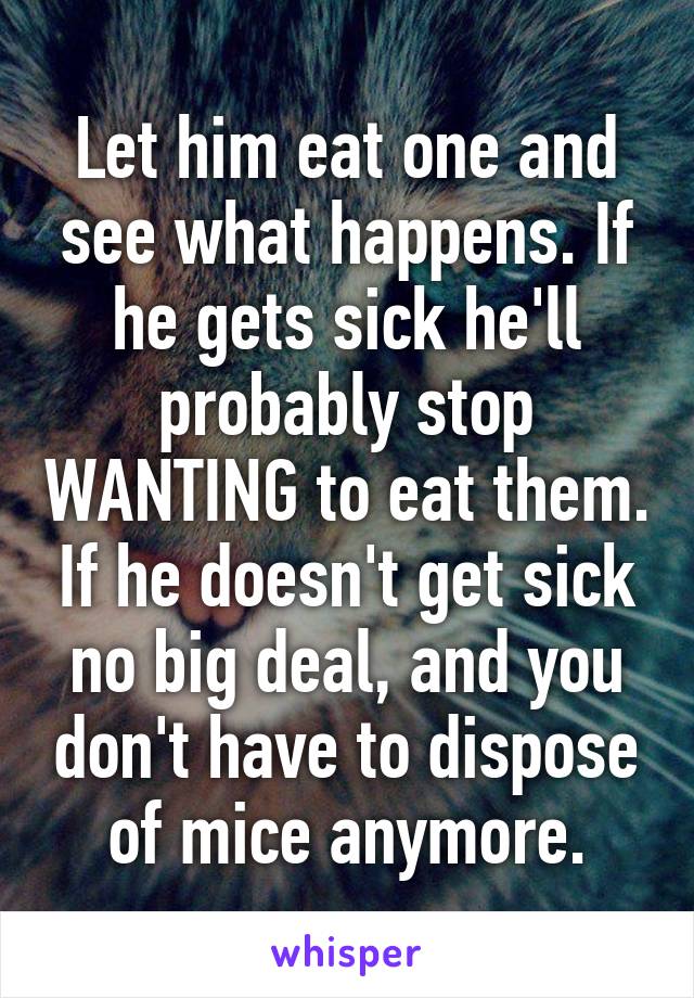Let him eat one and see what happens. If he gets sick he'll probably stop WANTING to eat them. If he doesn't get sick no big deal, and you don't have to dispose of mice anymore.
