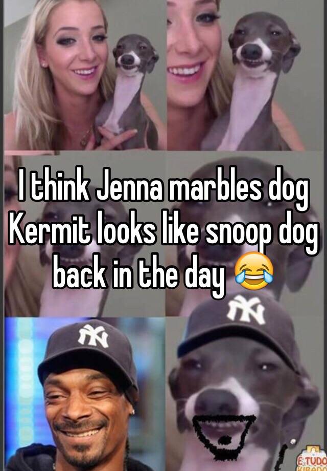 I Think Jenna Marbles Dog Kermit Looks Like Snoop Dog Back In The Day