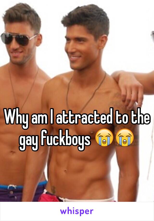 im gay why am i gay