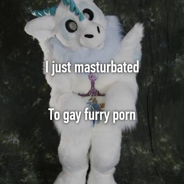 Stuffed Animal Furry Porn - I just masturbated To gay furry porn