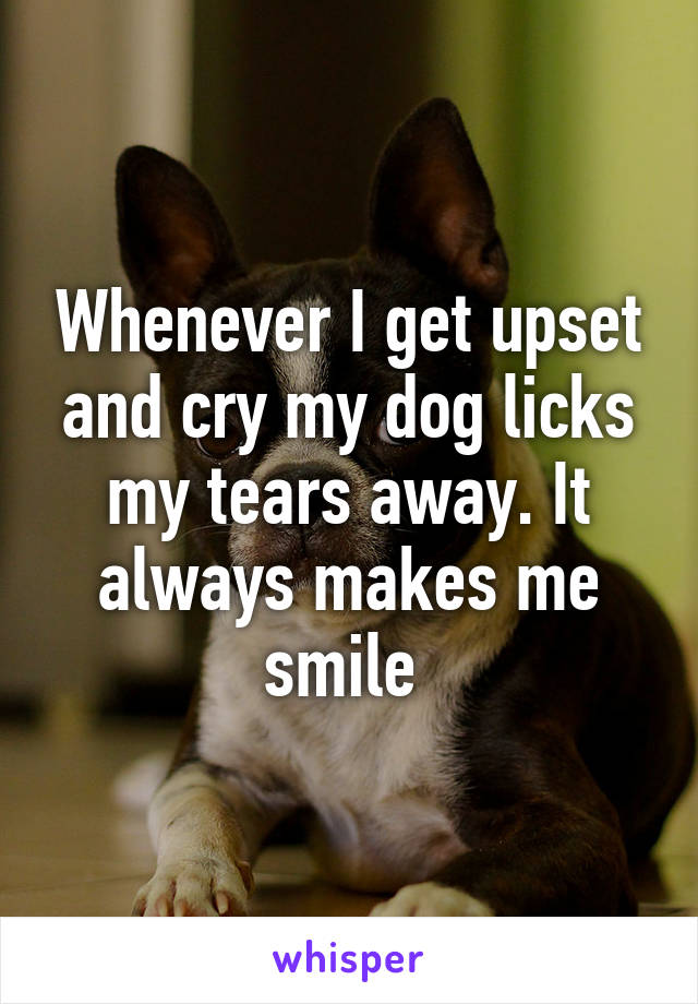 Why do dogs lick tears away