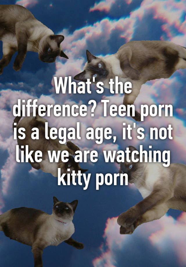 Small Teeny Porn - What's the difference? Teen porn is a legal age, it's not like we ...