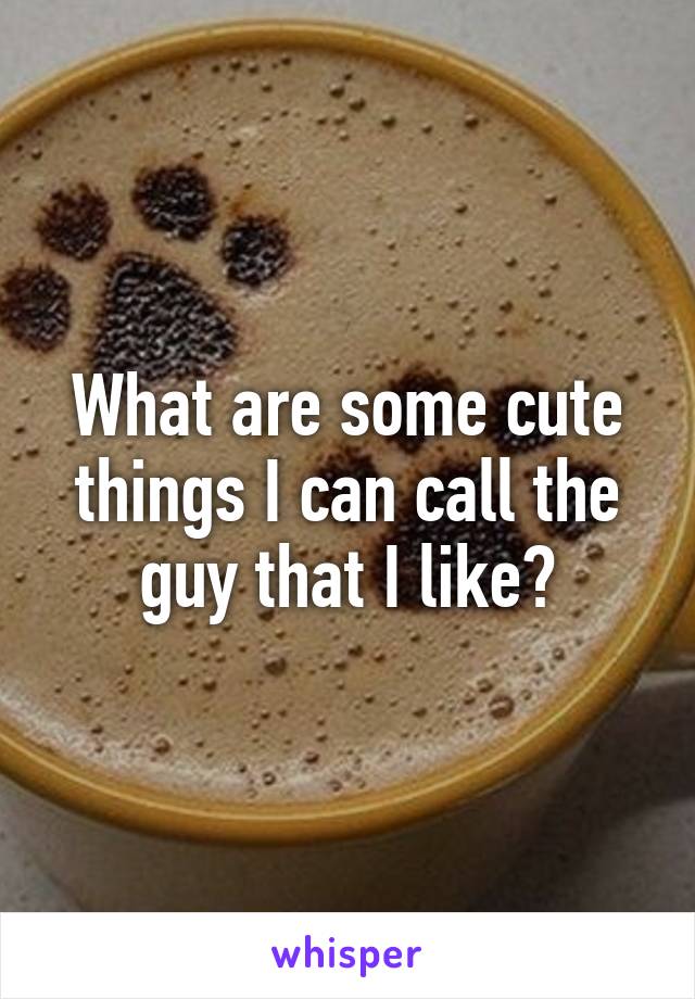 What are some cute things I can call the guy that I like?