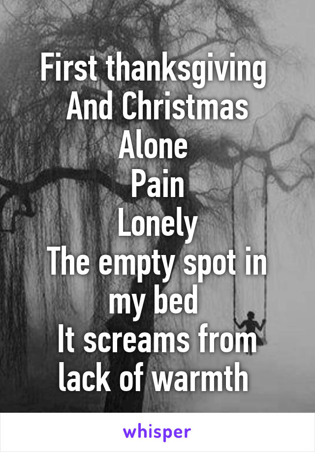 First thanksgiving 
And Christmas
Alone 
Pain
Lonely
The empty spot in my bed 
It screams from lack of warmth 