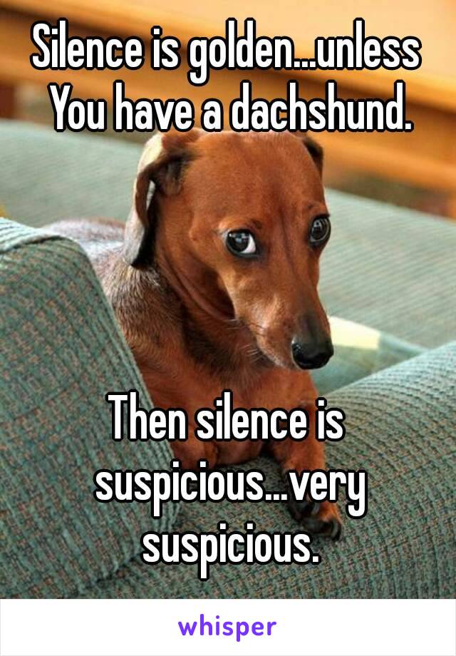 Dachshund meme. Silence is golden, unless you have a dachshund. Then silence is suspicious, very suspicious.