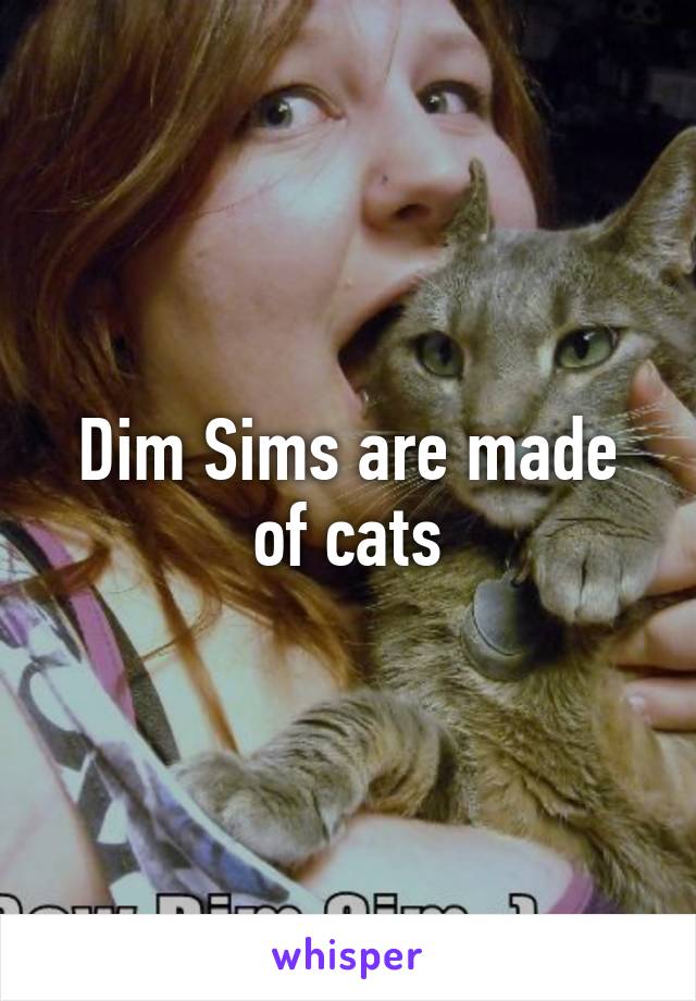 dim-sims-are-made-of-cats