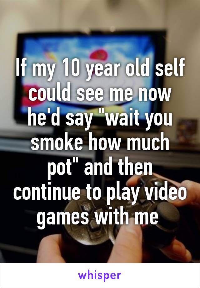 If my 10 year old self could see me now he'd say "wait you smoke how much pot" and then continue to play video games with me 