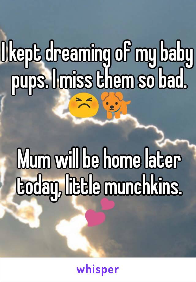I kept dreaming of my baby pups. I miss them so bad. 😣🐕

 Mum will be home later today, little munchkins. 💕