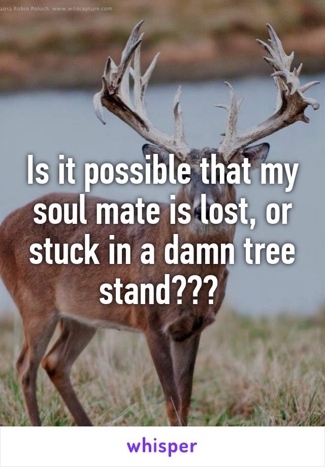 Is it possible that my soul mate is lost, or stuck in a damn tree stand??? 