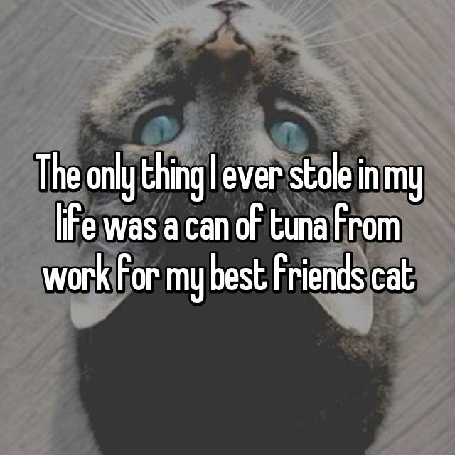 The only thing I ever stole in my life was a can of tuna from work for my best friends cat