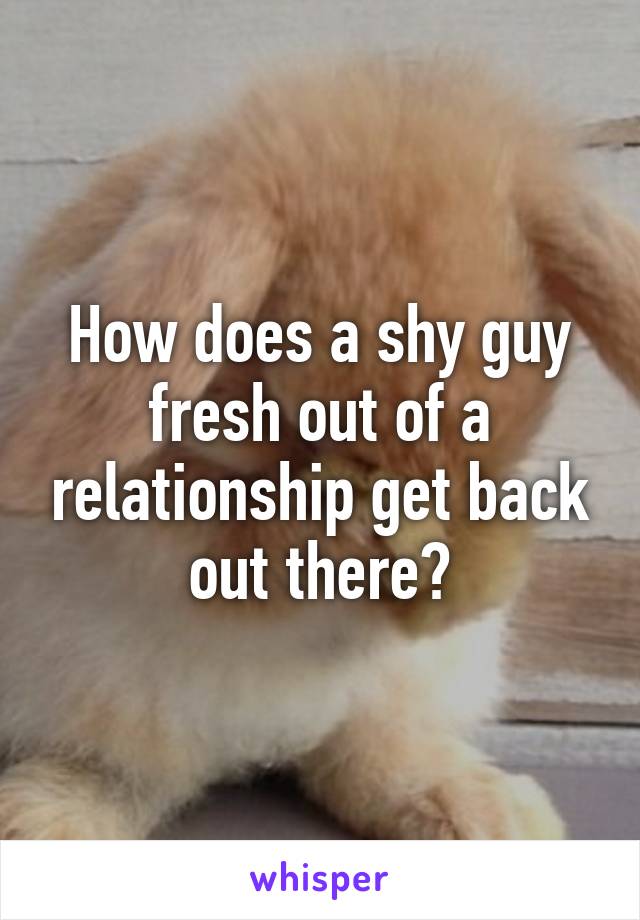 How does a shy guy fresh out of a relationship get back out there?