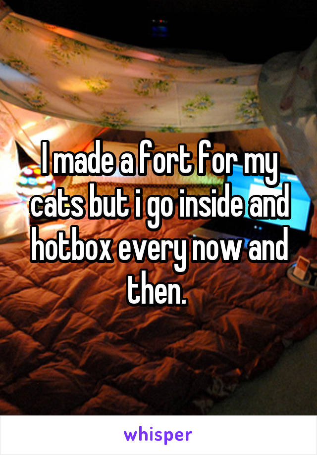 I made a fort for my cats but i go inside and hotbox every now and then. 