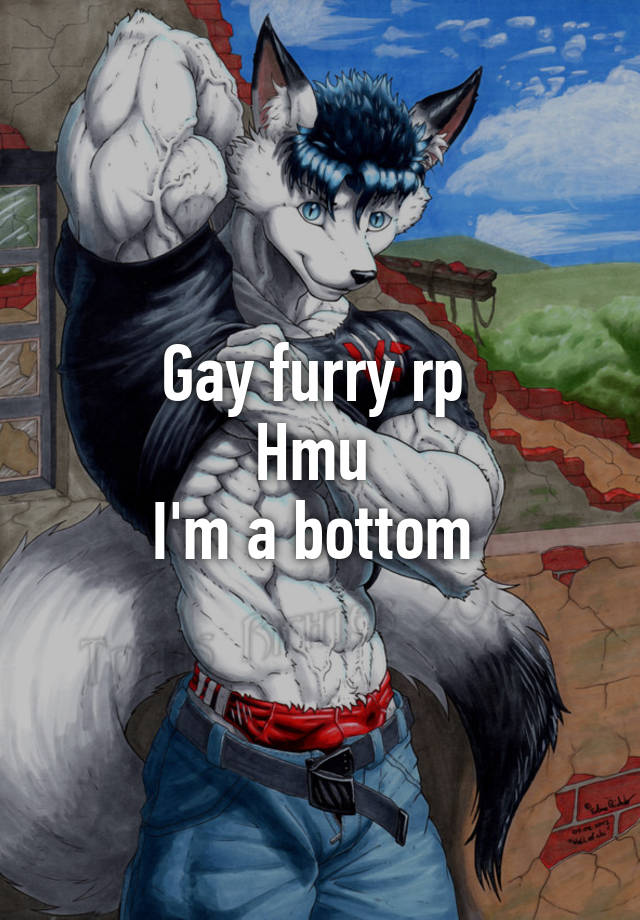 gay furry porn download