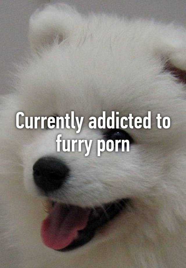 Currently addicted to furry porn