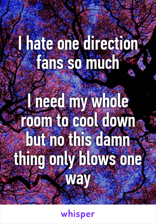 I Hate One Direction Fans So Much I Need My Whole Room To