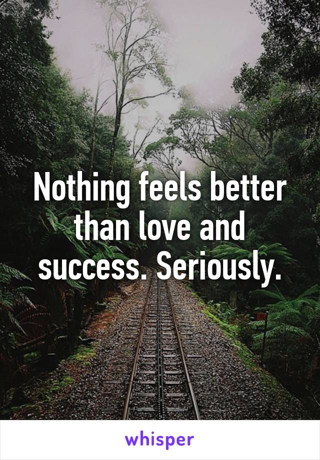 Nothing Feels Better Than Love And Success Seriously nothing feels better than love and success seriously