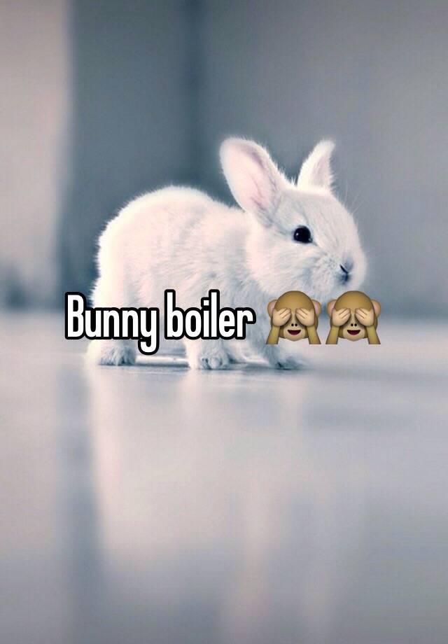 bunny-boiler