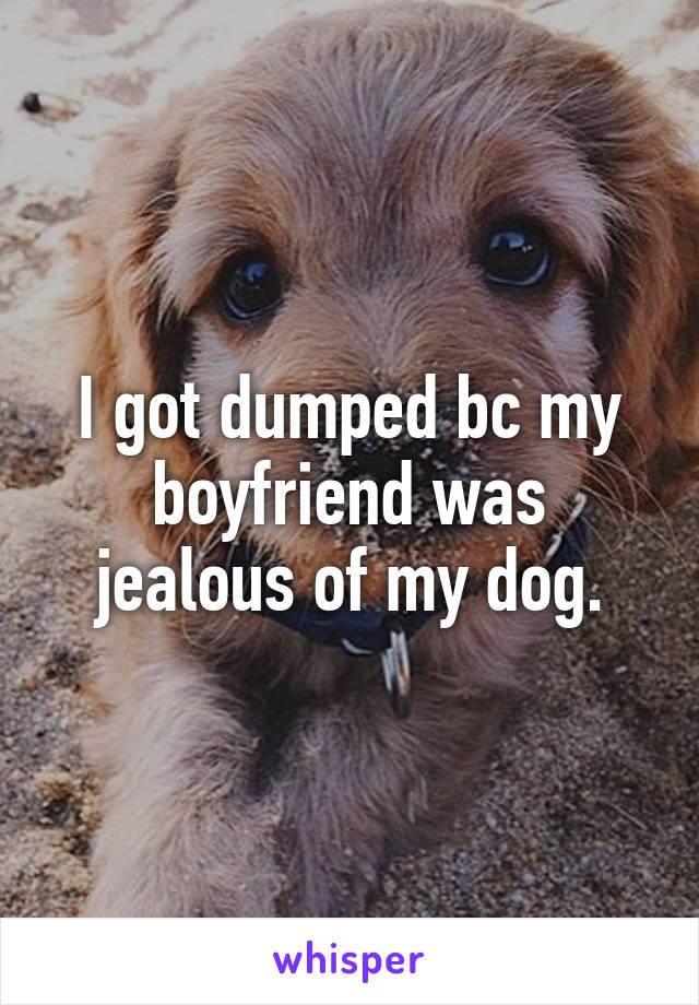 I Got Dumped Bc My Boyfriend Was Jealous Of My Dog