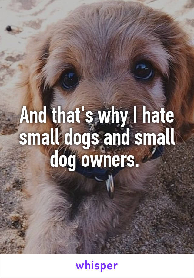 i hate small dogs
