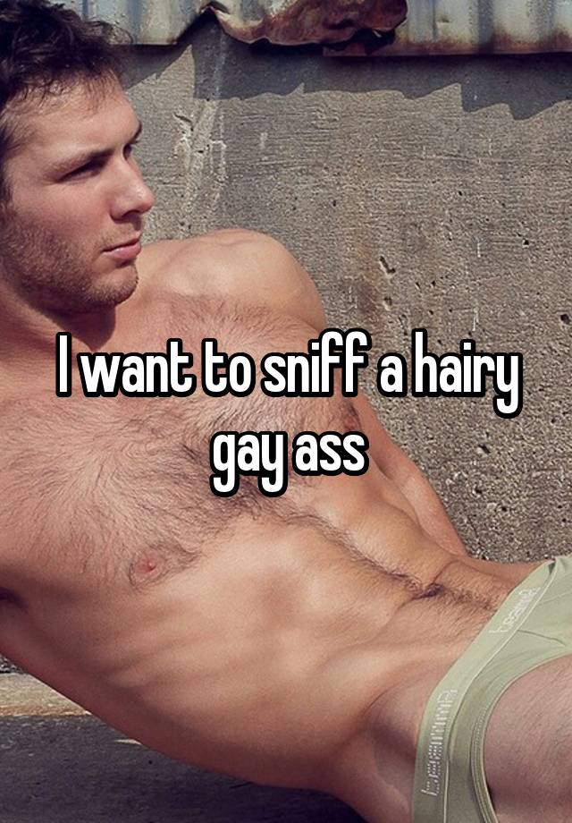 640px x 920px - Gay hairy ass pictures - Hairy - Photo XXX