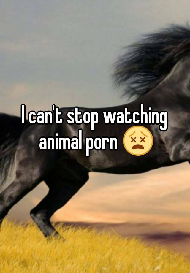640px x 920px - I can't stop watching animal porn ðŸ˜µ