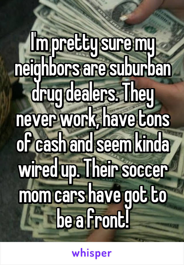 I'm pretty sure my neighbors are suburban drug dealers. They never work, have tons of cash and seem kinda wired up. Their soccer mom cars have got to be a front!