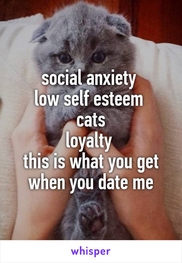 social anxiety 
low self esteem 
cats
loyalty 
this is what you get when you date me
