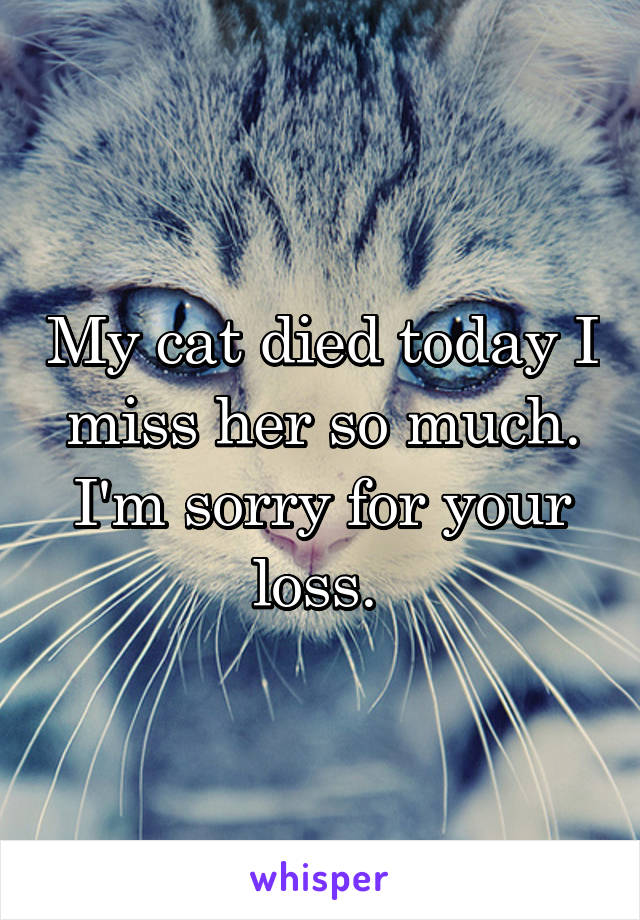 My cat died today I miss her so much. I'm sorry for your loss.