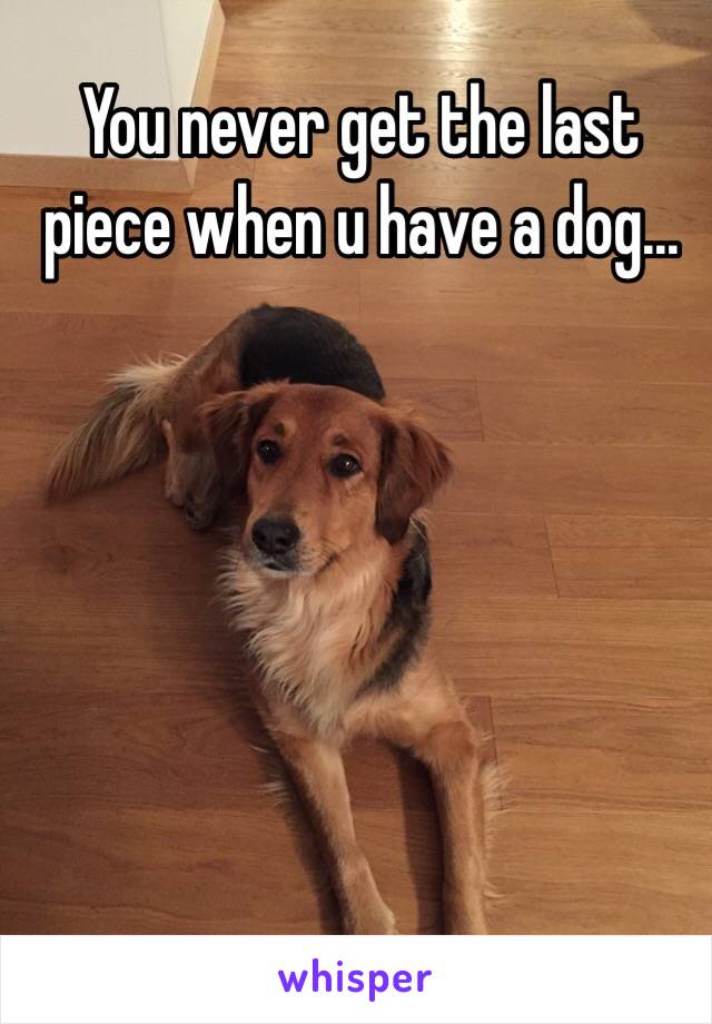 You never get the last piece when u have a dog...