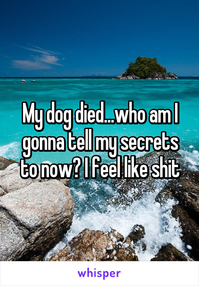 My dog died...who am I gonna tell my secrets to now? I feel like shit