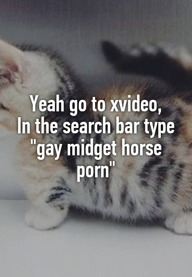 Horse Midget Porn - gay midget horse porn