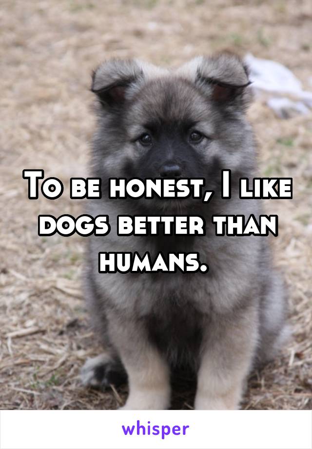dogs are better than humans