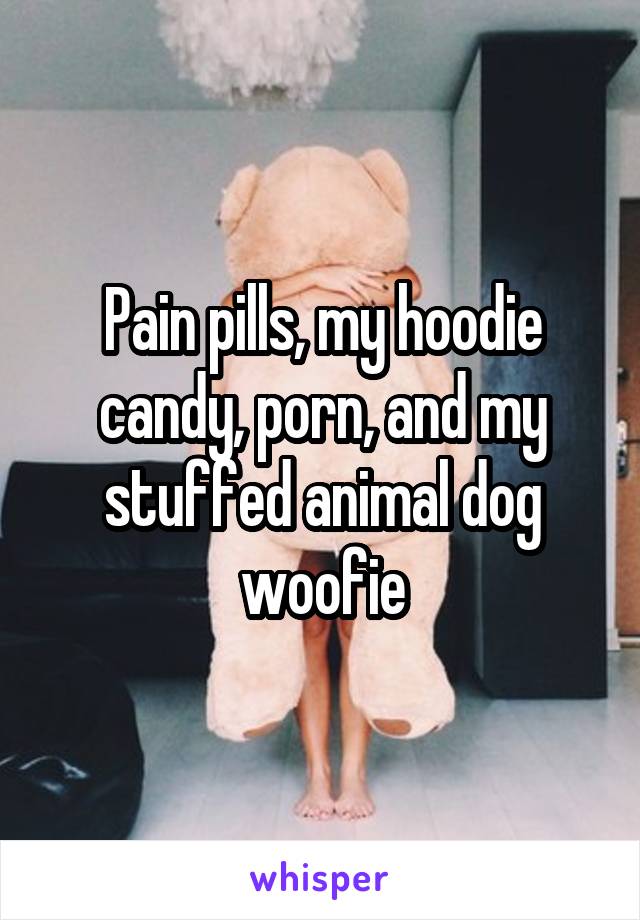 Pain pills, my hoodie candy, porn, and my stuffed animal dog ...